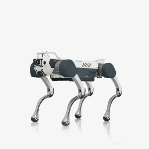 X30 Pro I inMotion Rhino